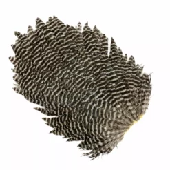 Feathers Metz #1 Hen Saddle Grizzly