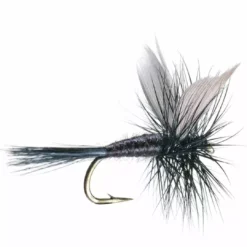 Umpqua Feather Merchants Black Gnat Flies