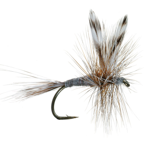 Umpqua Feather Merchants Flies Adams Dry Fly 1 Umpqua Feather Merchants Flies Adams Dry Fly