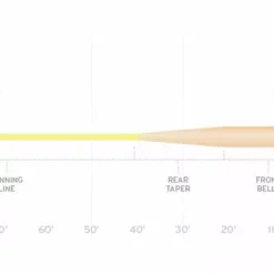 Scientific Anglers SA SONAR Grand Slam Clear Tip Fly Line