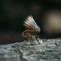 Tiemco TMC 100 Dry Fly Hook 25 Pack Hooks