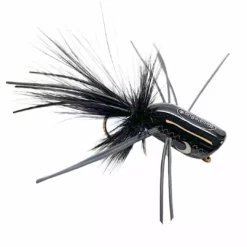 Boogle Bug Boogle Amnesia Bug Black Flies