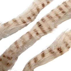 Hareline Hair & Fur Barred Magnum Cut Rabbit Strips