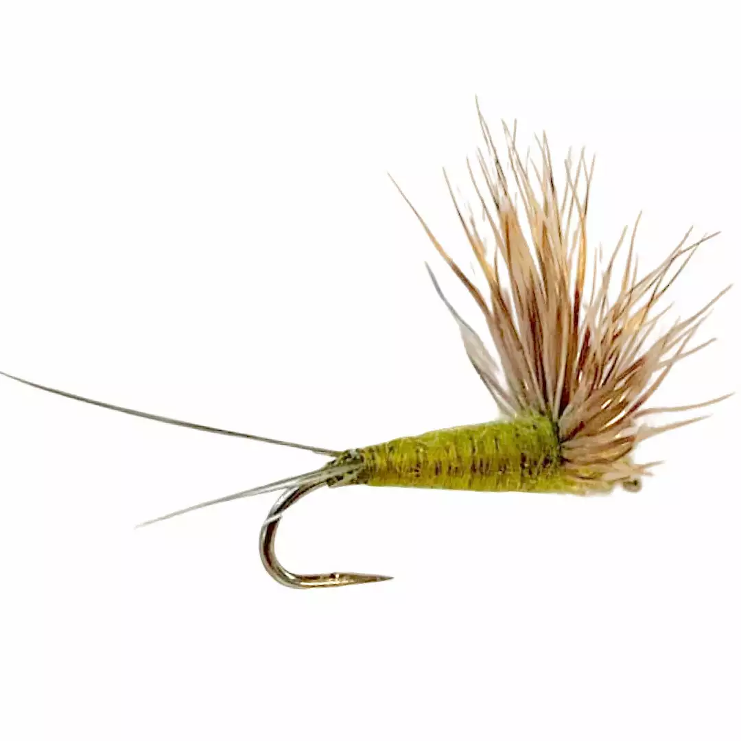 Umpqua Feather Merchants Comparadun BWO 1 Umpqua Feather Merchants Comparadun BWO