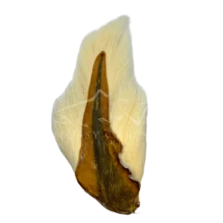 Wapsi Fly Hair & Fur Bucktail 20 Wapsi Fly Hair & Fur Bucktail