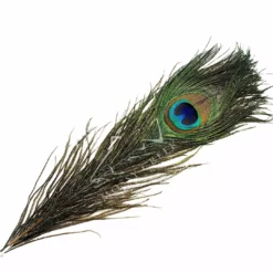 Hareline Peacock Eyes