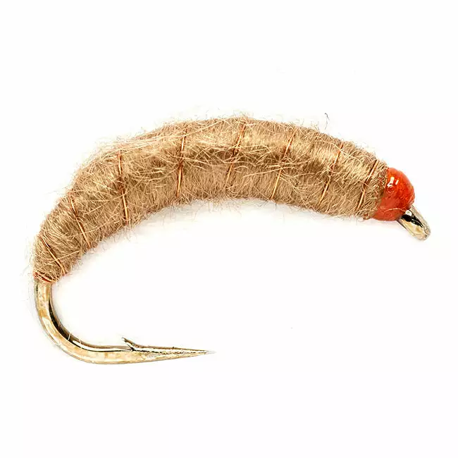 Fulling Mill Killer Bug Flies 1 Fulling Mill Killer Bug Flies