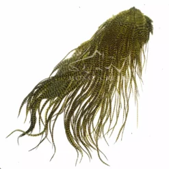 Hareline Keough Grade #1 Half Saddle Grizzly Olive