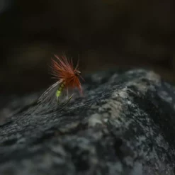 Tiemco TMC 2487 Nymph Hook 25 Pack