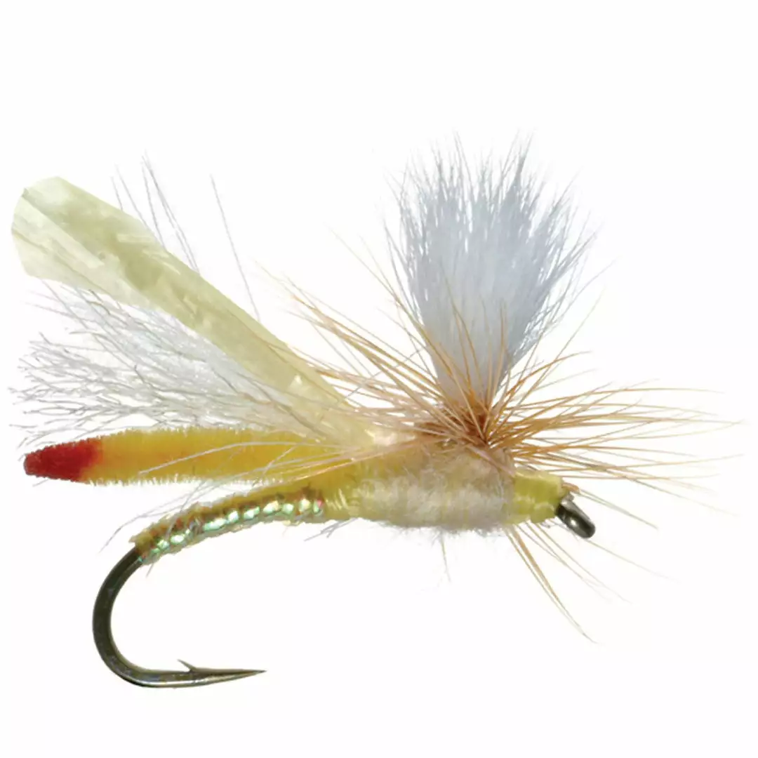 Umpqua Feather Merchants Headlight Sally 1 Umpqua Feather Merchants Headlight Sally