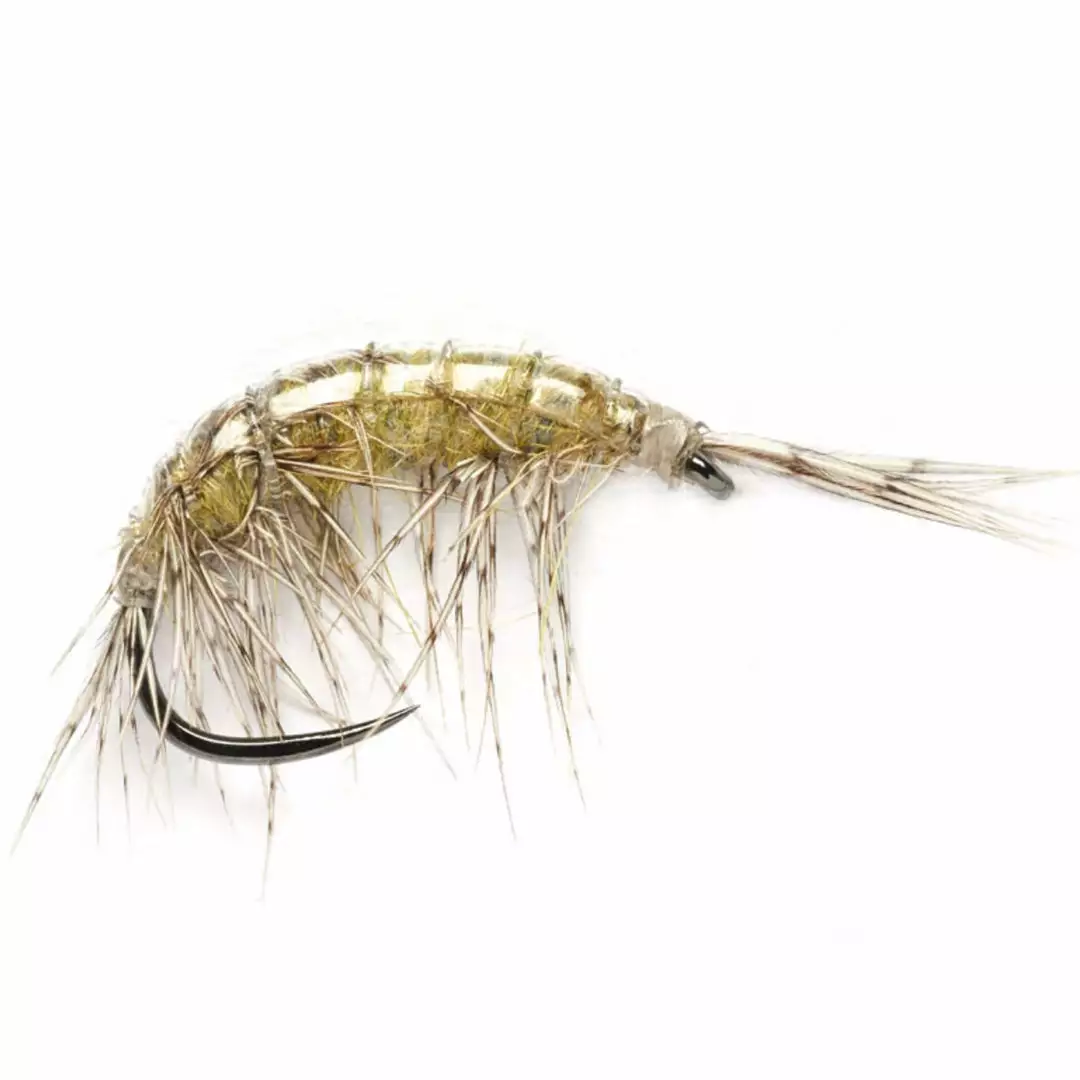 Fulling Mill Freshwater Shrimp 1 Fulling Mill Freshwater Shrimp