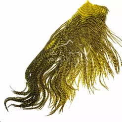 Hareline Feathers Keough Grade #1 Half Saddle Grizzly Yellow